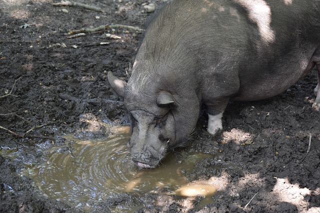 的关键在于 的关键在于