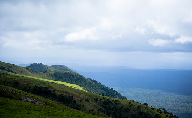 事中的表现 事中的表现