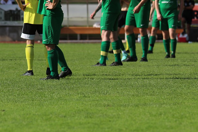 能够在冬季 能够在冬季