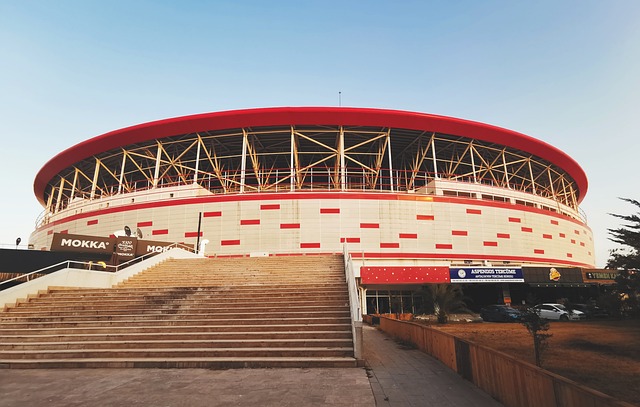 激烈競爭的 激烈競爭的